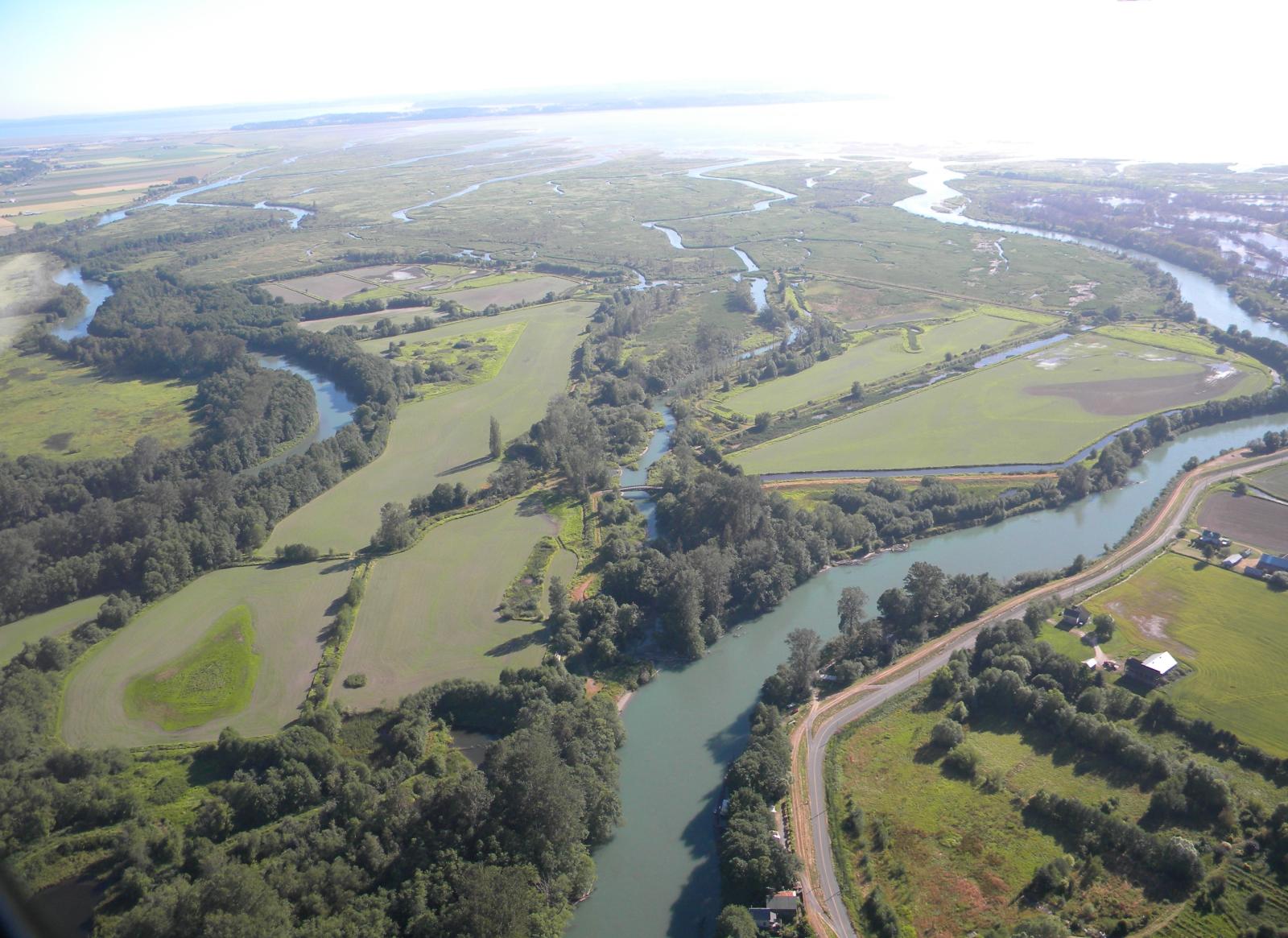 Aerial photo of Island Unit looking west