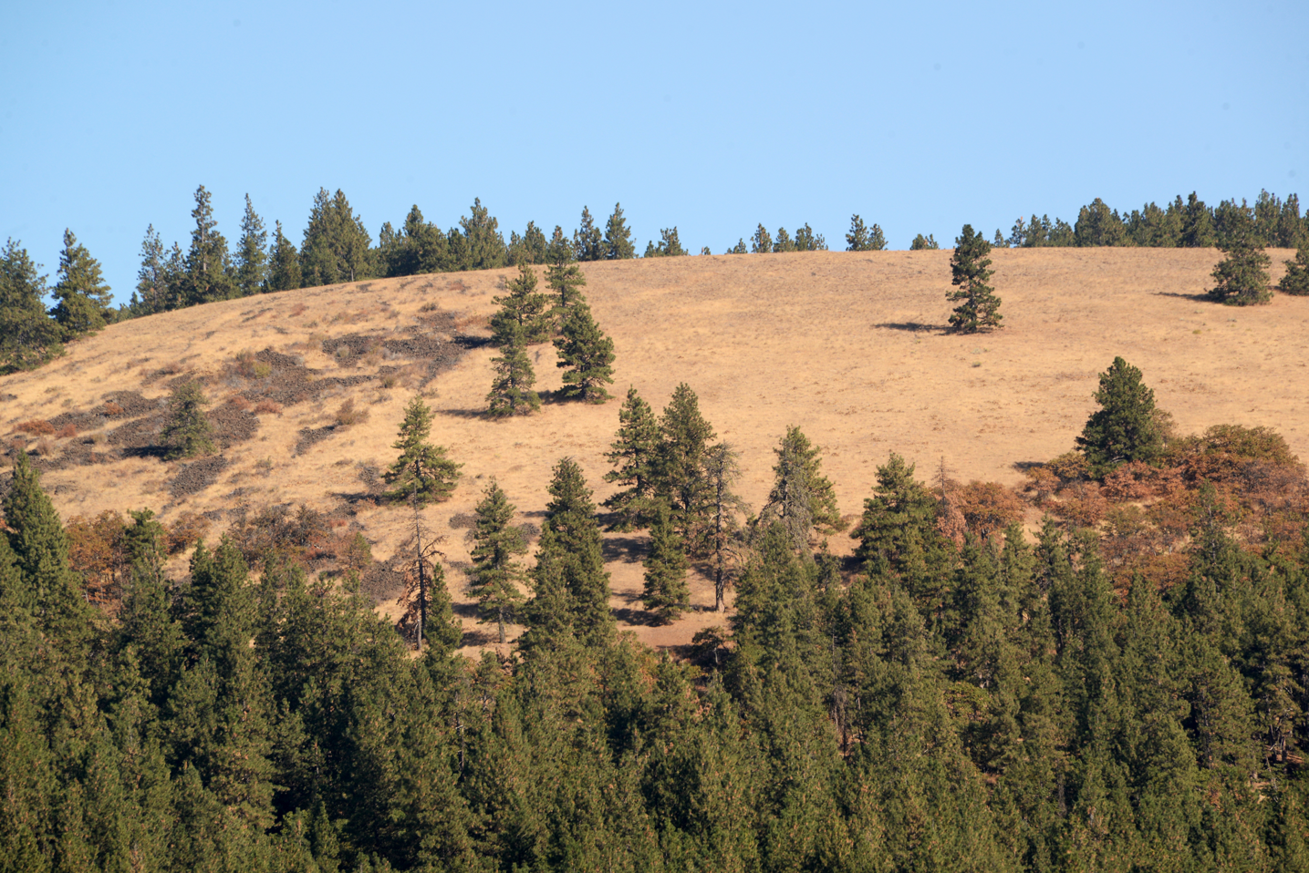 Image of Bickleton Ridge in Simcoe Mountains Unit