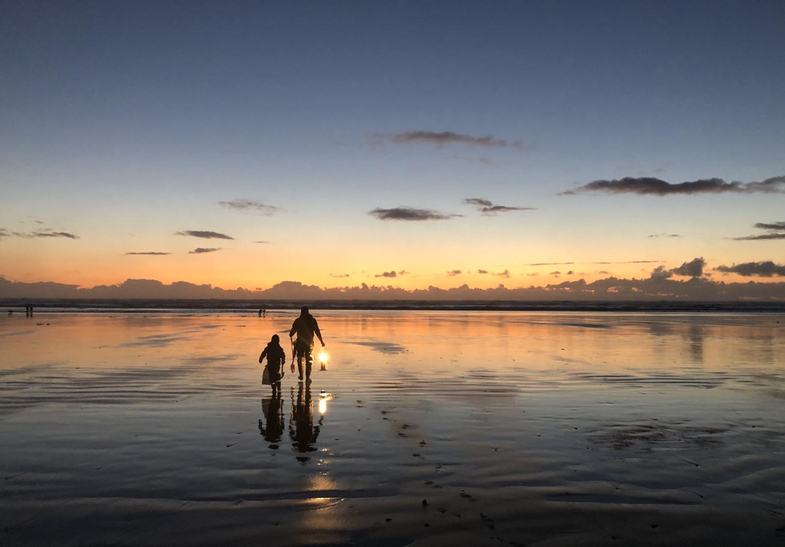 Razor clam diggers try their luck at sunset on a coastal beach