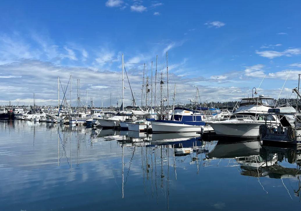 Many commercial fishing boats tied up at docks in a marina