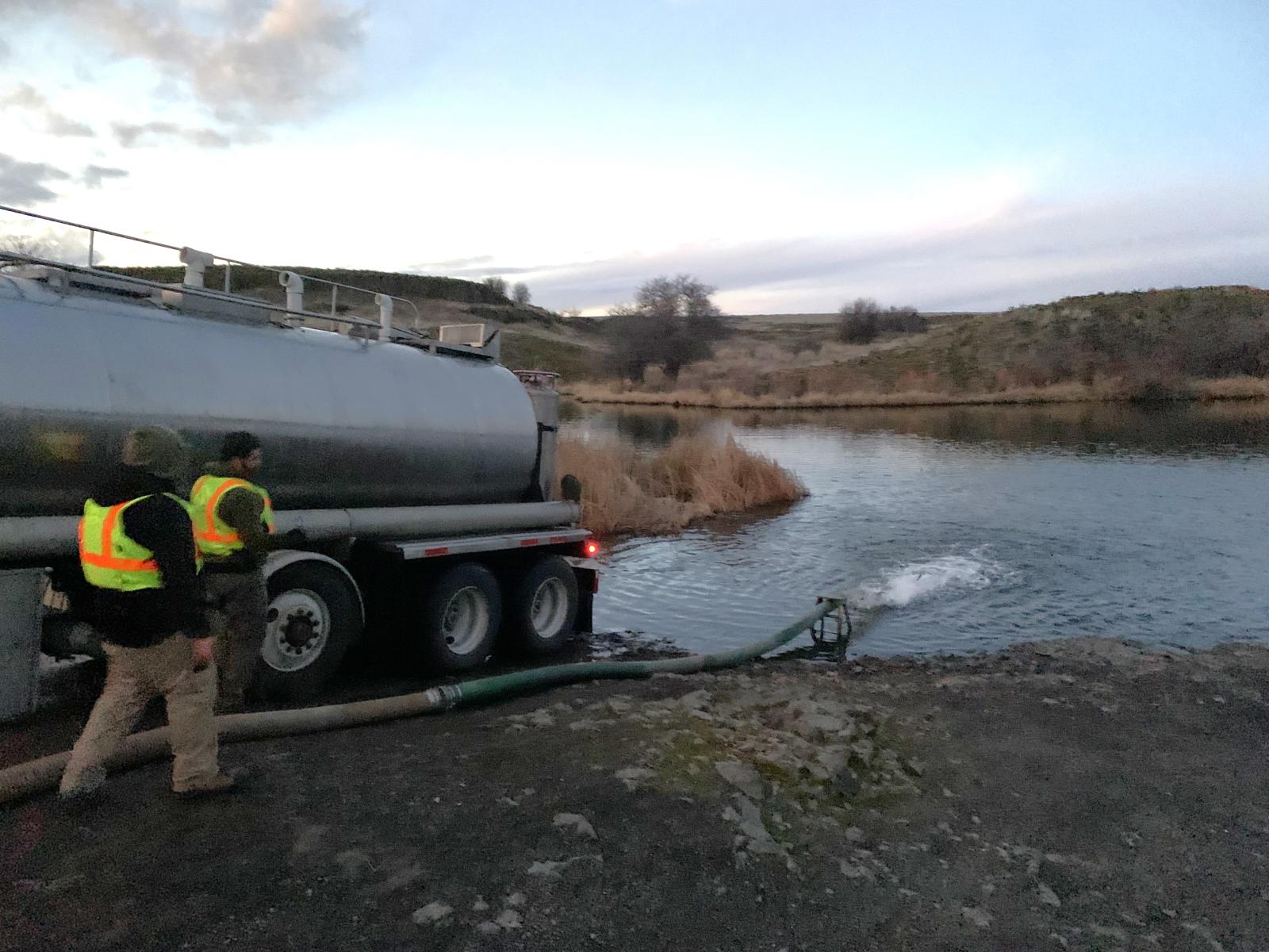 Juvenile hatchery steelhead being planted in Rock Lake