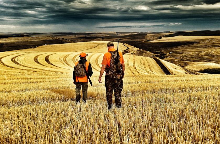 Dad and son wandering off to hunt in autumn with beautiful sky and golden grain field on wide open horizon