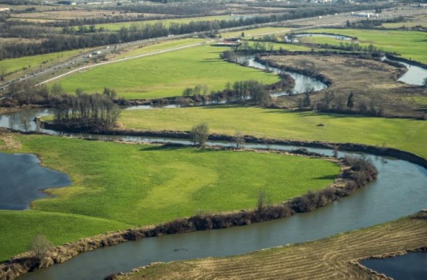 Oxbows on the Chehalis River provide habitat for salmon and other native aquatic species.