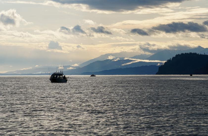 Boats fishing Marine Area 5 near Sekiu for blackmouth resident Chinook