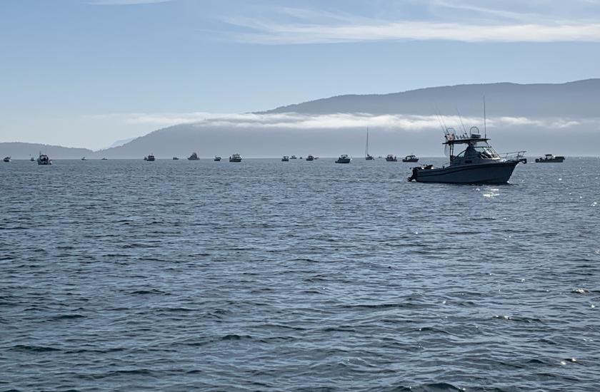 Marine Area 7 San Juan Islands salmon fishing