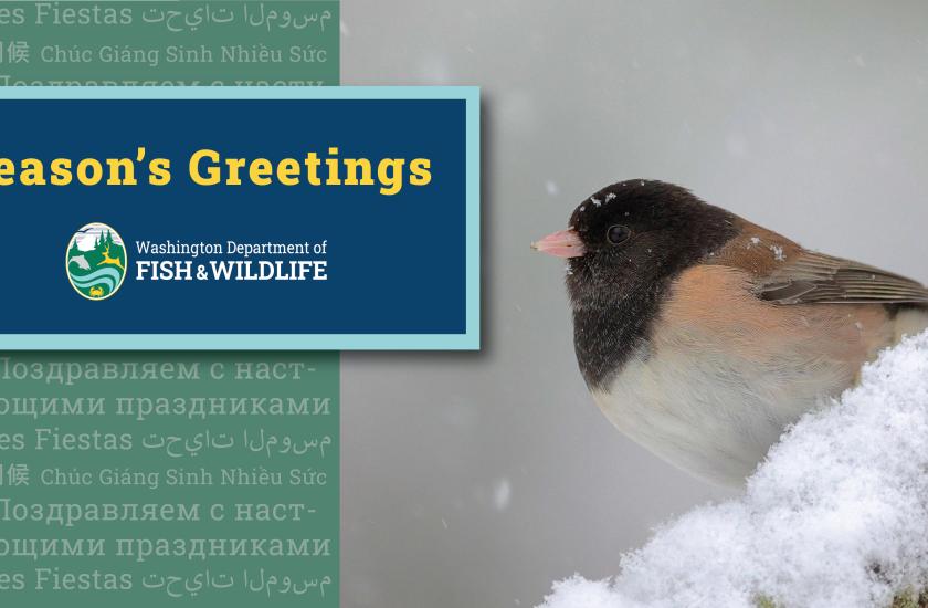 Season's greetings from WDFW