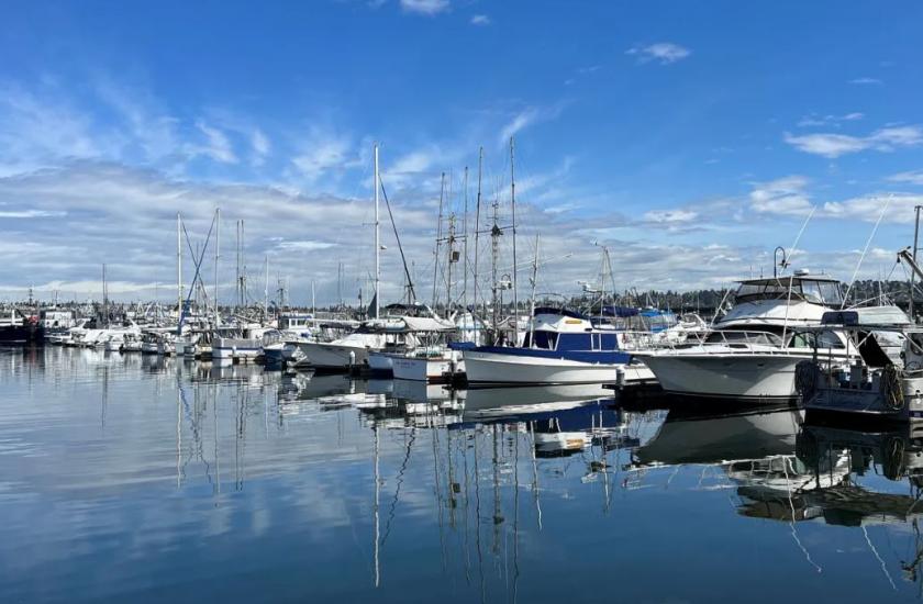 Many commercial fishing boats tied up at docks in a marina