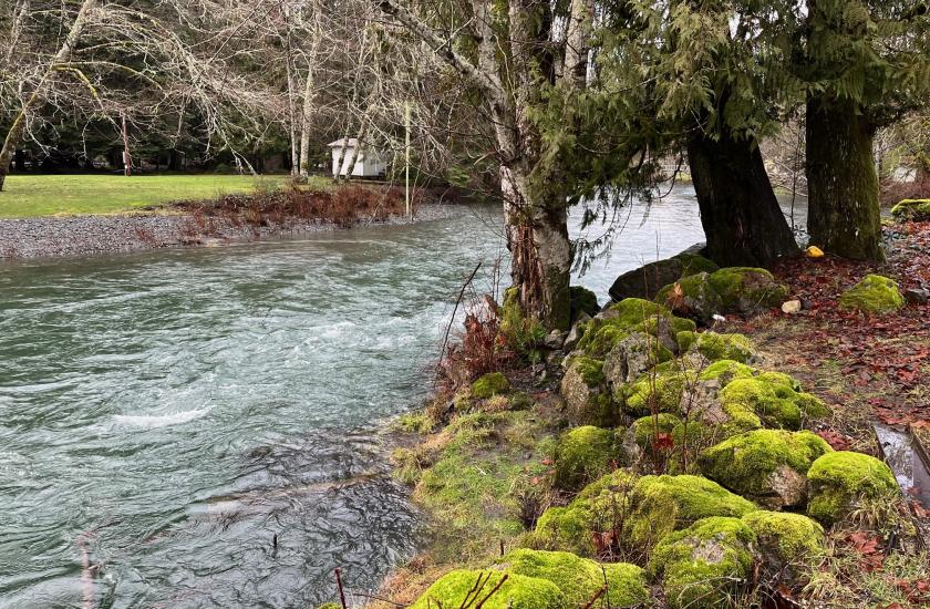 Duckabush river flows past a mossy outcropping.