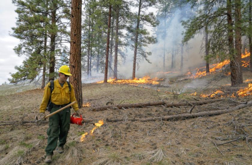 Fire crews working a prescribed fire on the Sinlahekin Wildlife Area