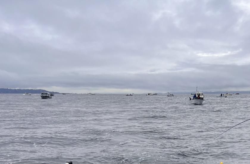 Boats fishing for winter blackmouth Chinook in central Puget Sound Marine Area 10 March 2024