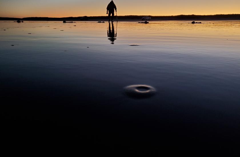 Razor clam digging sunrise