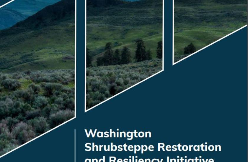 Cover of a report on Shrubsteppe restoration in Washington