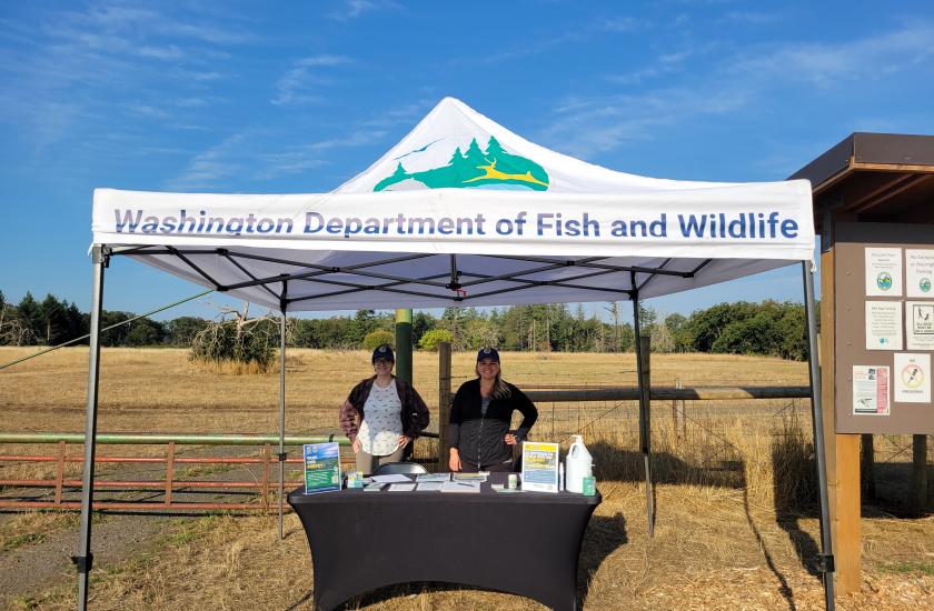 Volunteer ambassadors under a tent outdoors