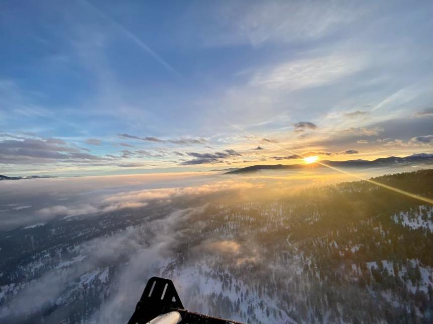 Aerial view during a wolf survey