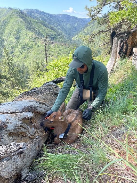 E. Moberg and K. Licence celebrate the first of many calves captured.