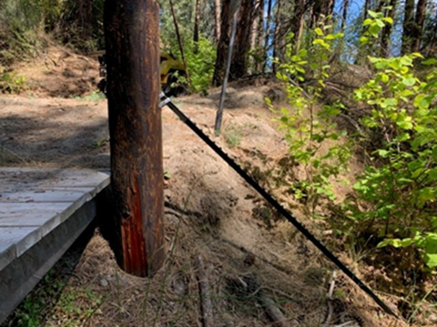 Trail clearing photo