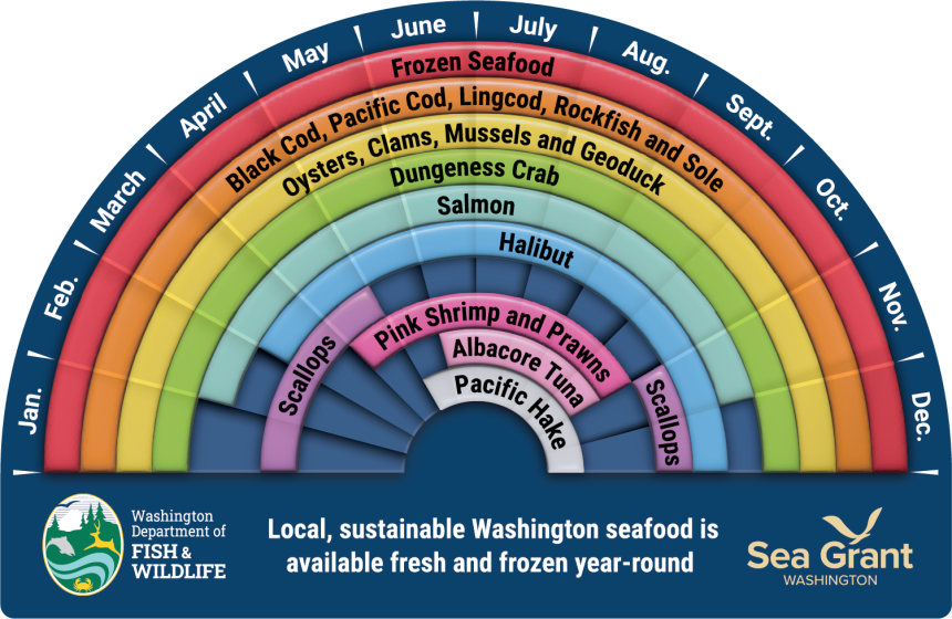 Infographic showing seafood in season throughout the year. 