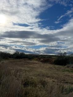 Mesa Lake Unit’s 7-acre pond after mowing.