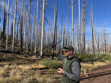 Biologist Spence using telemetry equipment to determine a collared wolf’s location.