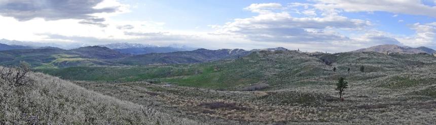 Mule deer winter through spring range on the Methow Wildlife Area.