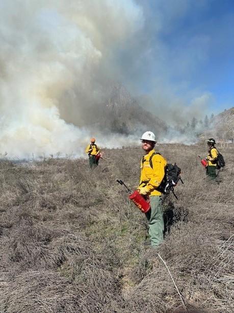 Using drip torches to initiate the field burn.