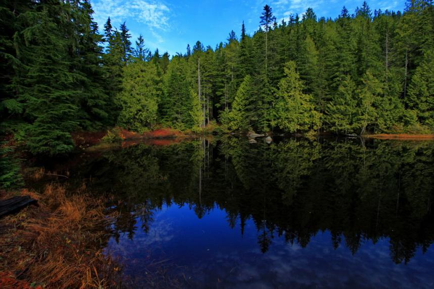 Lower Ashland Lake