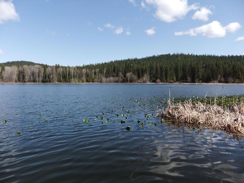 Starvation Lake