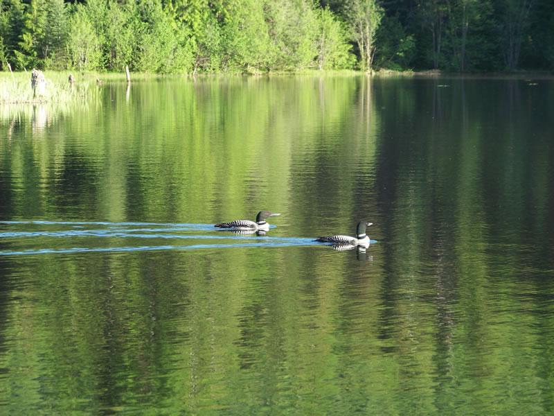 Big Meadow Lake