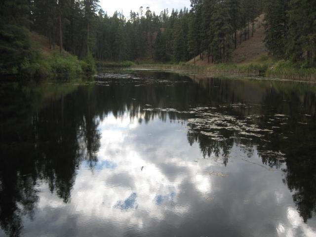 Reflection Pond