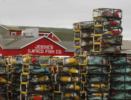 Commercial crab gear in Ilwaco