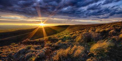 A dramatic photo of a sunrise over a shrubsteppe habitat. Sunbeams streaking through the sky and dark clouds overhead.