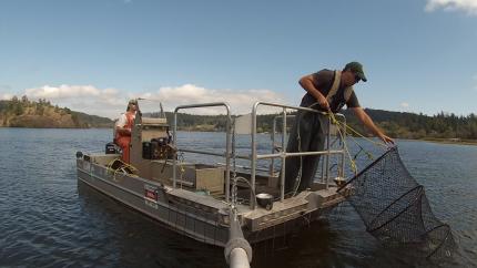 Hoop netting on Campbell Lake