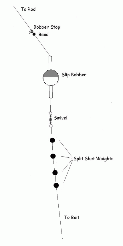 Diagram showing a bobber or float fishing set up