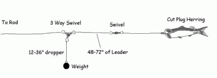 Diagram showing how to set up a trolling rig with cut plug herring