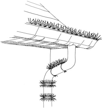 A drawing shoes spikes depolyed to prevent opossums from climbing inside a house. 