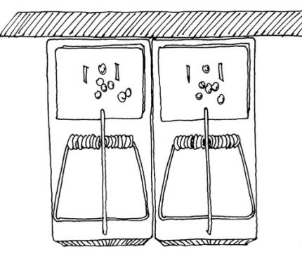 A drawing shows how to place rat traps for maximum effectiveness.