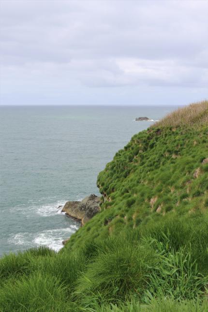 View on Carrol Island