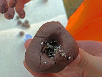 Close up of seeds in dirt compost mixture