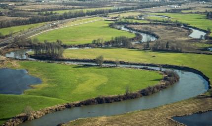 Oxbows on the Chehalis River provide habitat for salmon and other native aquatic species.