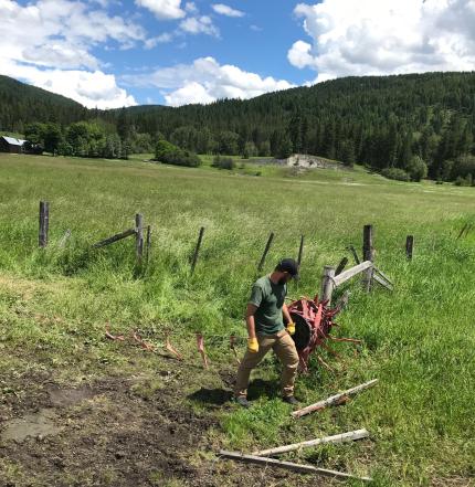 A biologist hangs fladry around a livestock pasture.