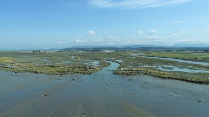 Aerial view of the main channel into Leque Island