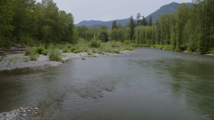 Stillaguamish River near Oso