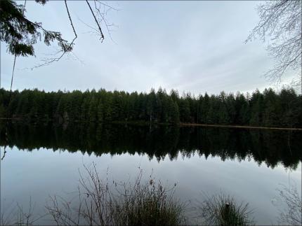 A view of Lake Koeneman