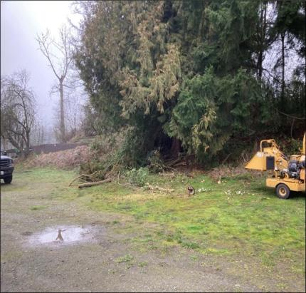 Harts Lake: Clearing for improved parking.