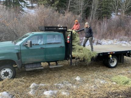 Two employees on truck bed with hay