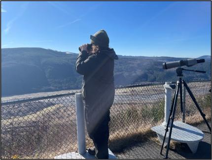 A person searching for elk