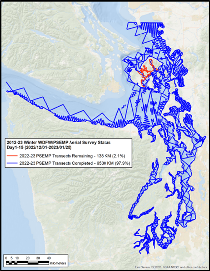 A graph of survey lines for waterfowl