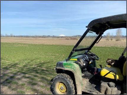 A tractor in a field.