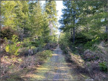 A view of the Lost Highway in Big Beef Creek Unit before improvements.