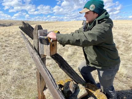 Blake hanging up a bluebird box.